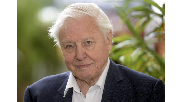 We’re getting a new BBC David Attenborough show and that's great news isn't it?