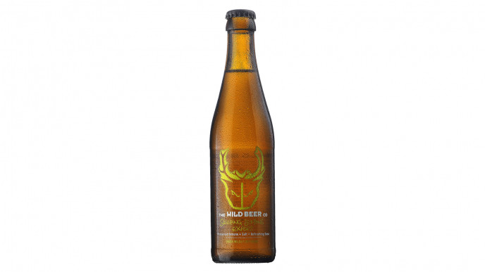Best craft beers