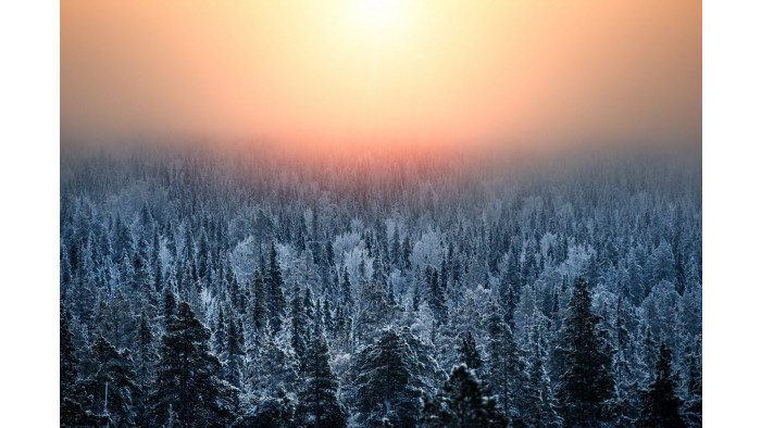 You could win a free holiday to Finland with 'Rent a Finn'