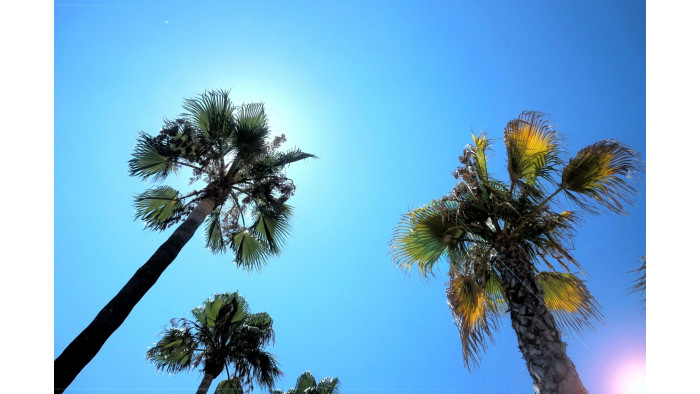 Get the sunscreen out: it's going to be twenty degrees next week, apparently