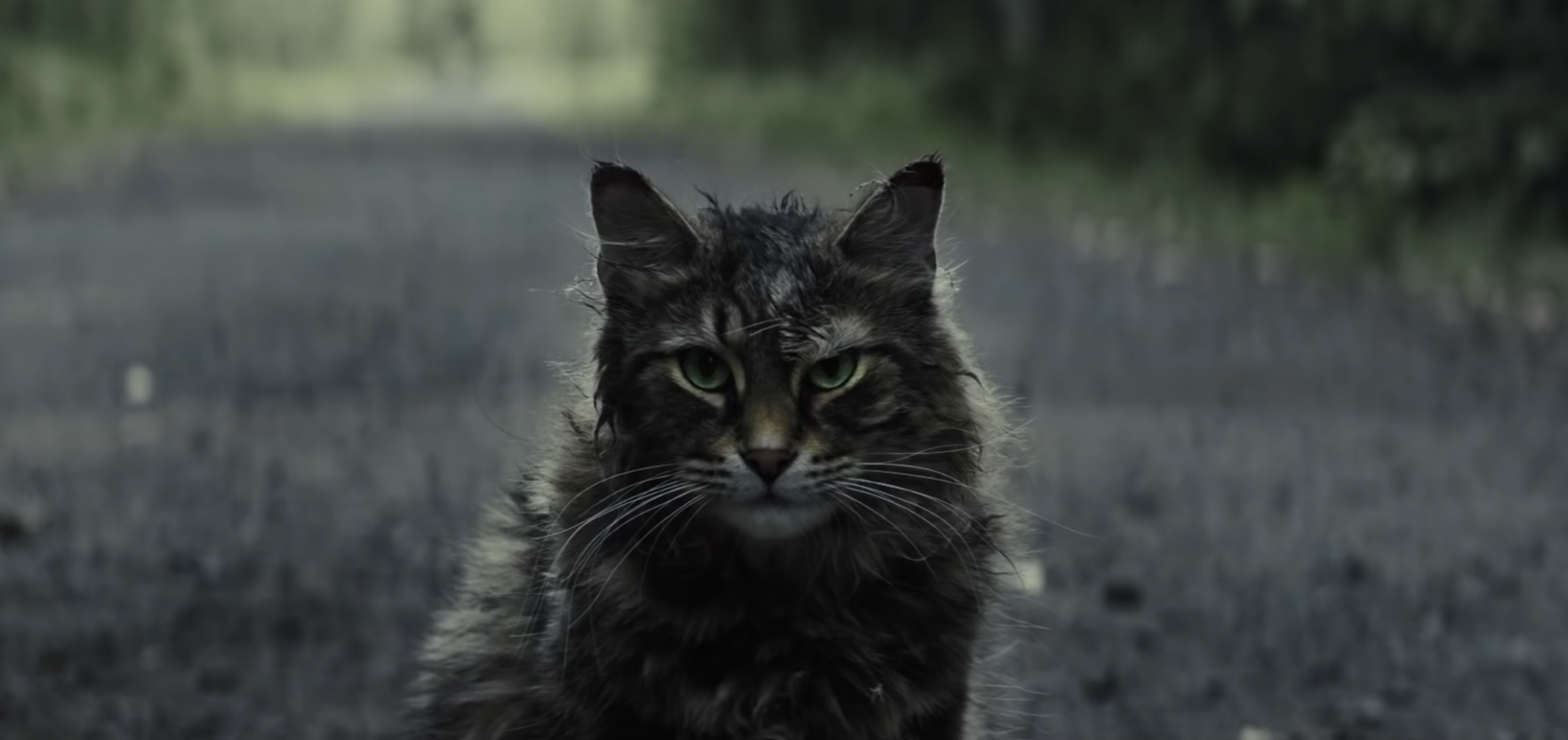 Pet sematary premiere hotsell