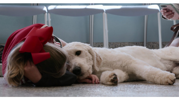 People are sharing heartwarming stories about their pets and no YOU'RE crying