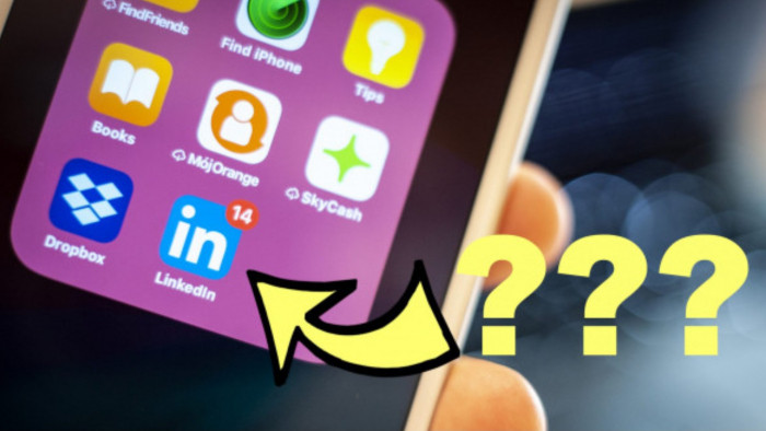 Someone's invitation is waiting for you. But what actually *is* LinkedIn?