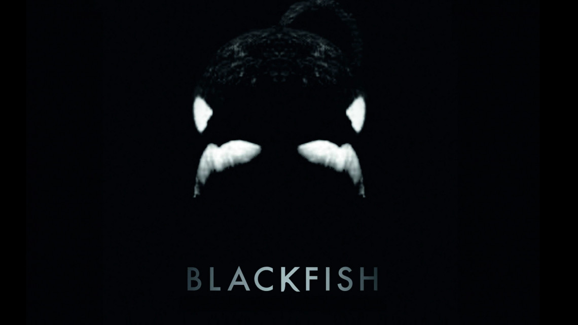 The best documentaries on Netflix in 2024