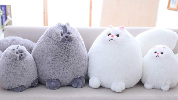 Best gifts for cat lovers