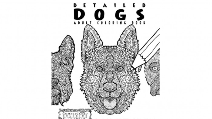 Best gifts for dog lovers