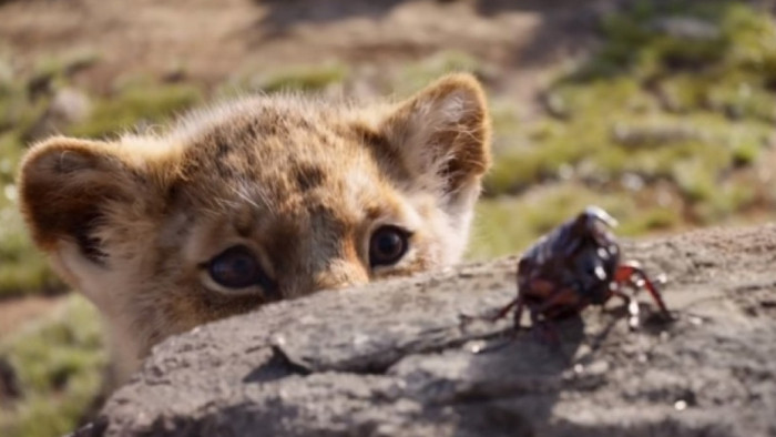 Let it go: Lion King passes Frozen as highest-grossing ‘animated’ film ever