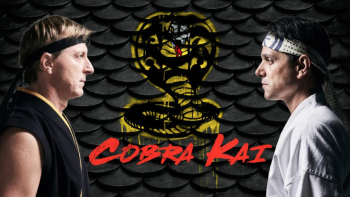 Kobra Kai is now free to watch on YouTube - to stop Disney+ and Netflix eating its lunch