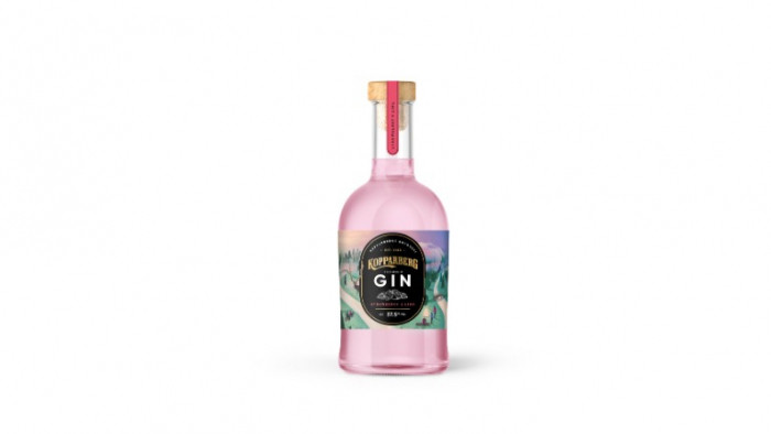 Best flavoured gin and best pink gin