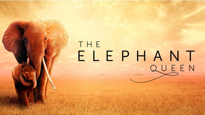 Best Apple TV Plus shows