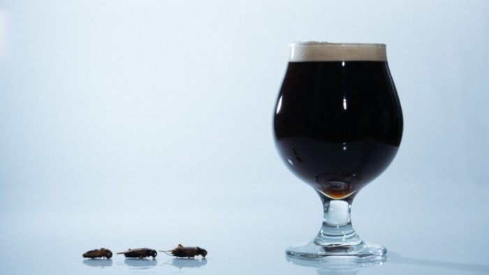 Anyone for crickets? This might be the strangest beer we've ever seen