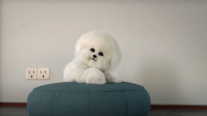 Deadpool director's brilliant Netflix TV show is back and looks amazing