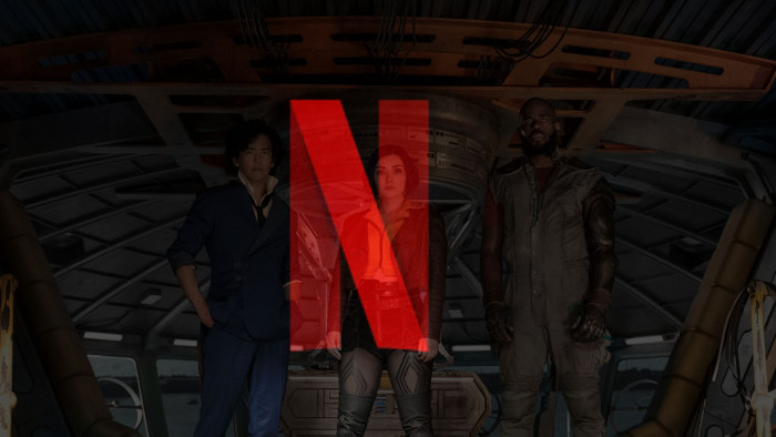 Netflix just canceled one of its biggest shows after just one season
