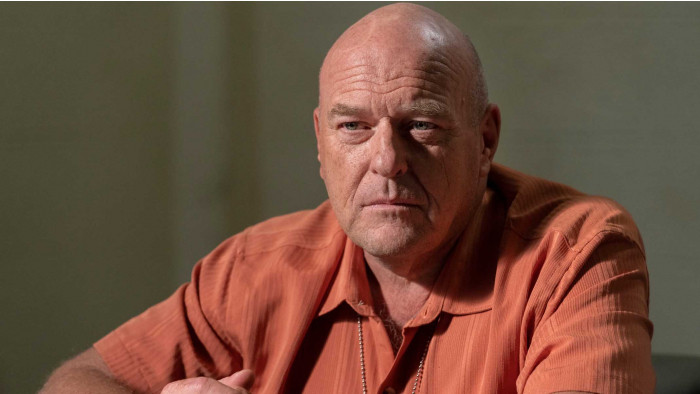 Best bald actors