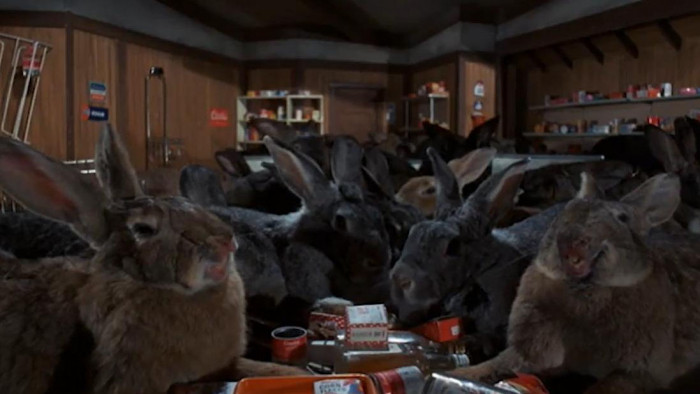 Best B-movies