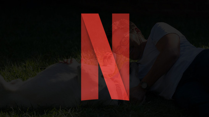 Netflix reveals new number-one TV show and movie - it's all change at the top