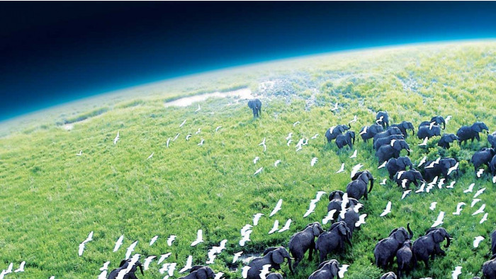 10 best nature documentaries for Earth Day