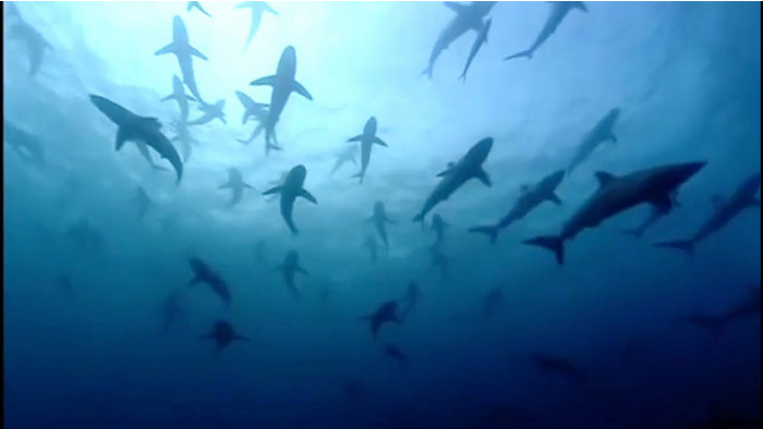 10 best nature documentaries for Earth Day