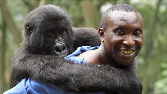 10 best nature documentaries for Earth Day