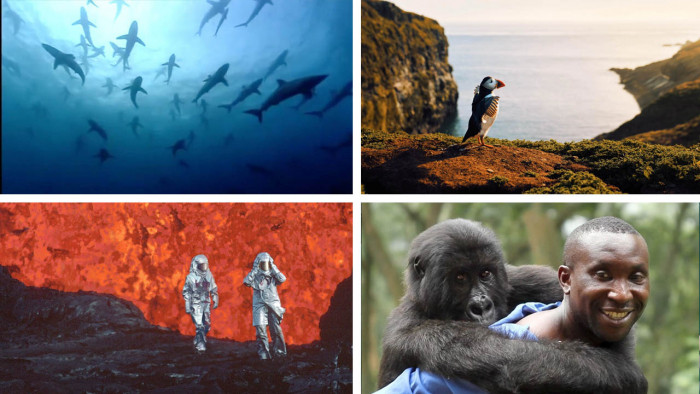 The best nature documentaries to watch on Earth Day 2023