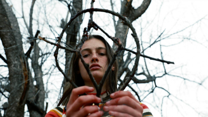 The best shudder movies you should be watching...