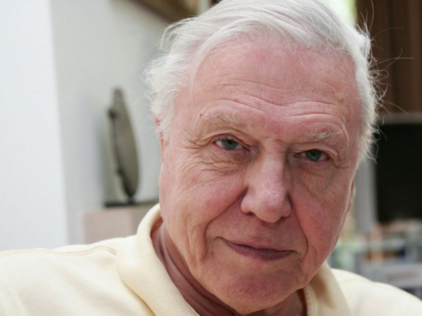 21 little-known facts about the legendary Sir David Attenborough