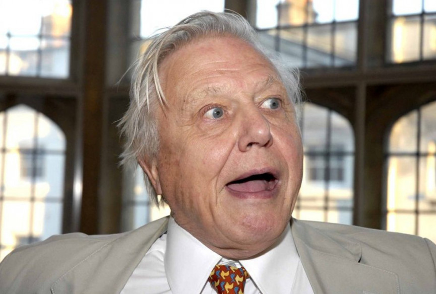21 little-known facts about the legendary Sir David Attenborough