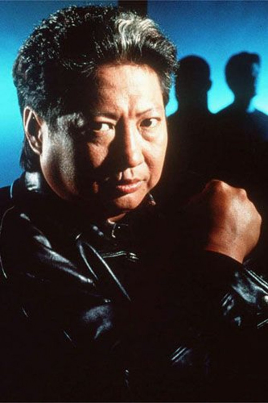 The 20 greatest martial arts stars ever