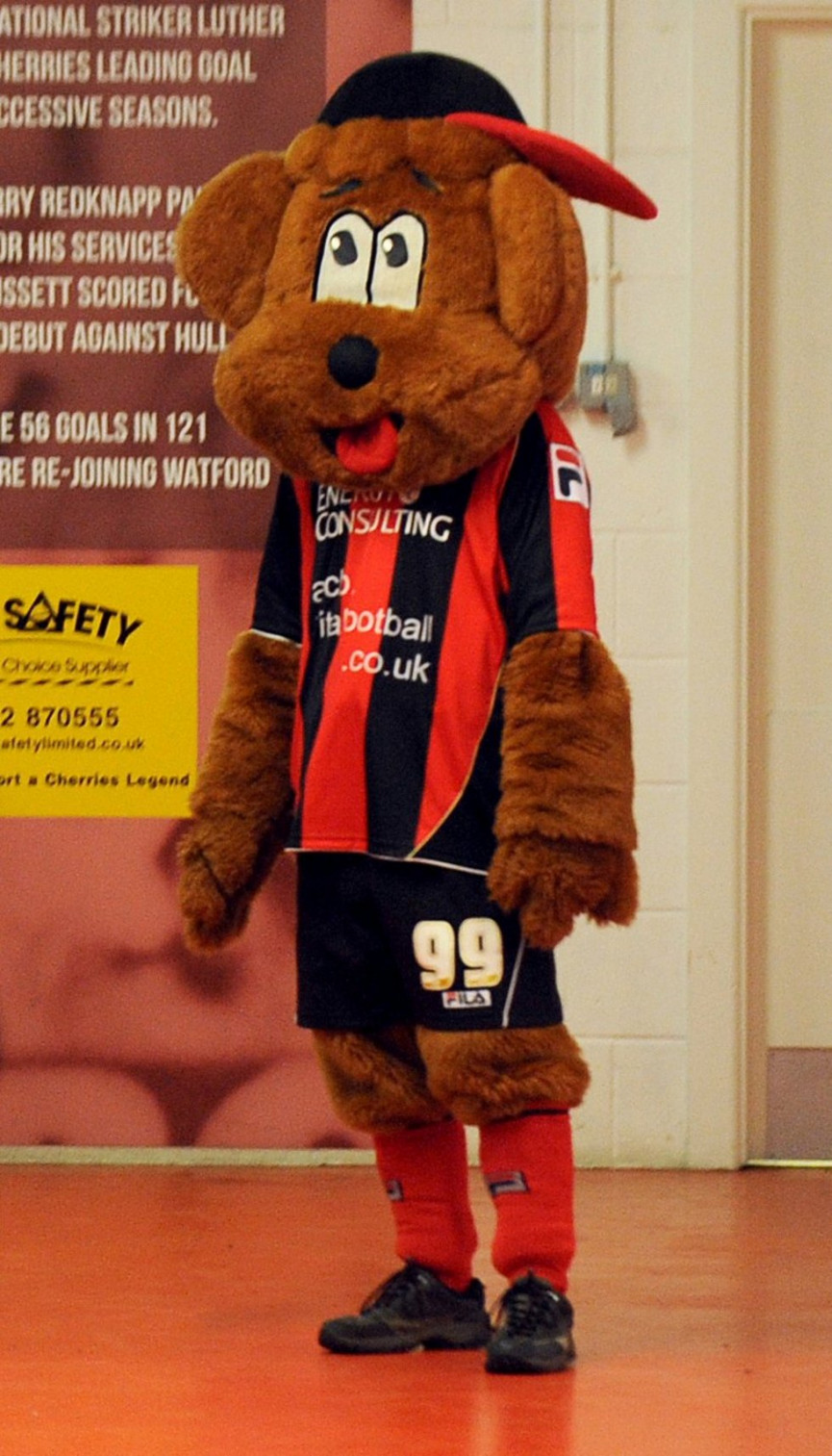Bournemouth Fc Mascot Name / Afc Bournemouth 12 Inch Cherry Bear Plush